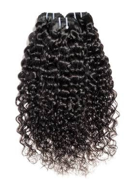 Royalty Burmese Curly