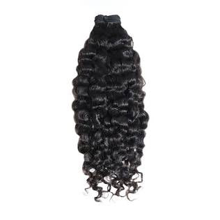 Royalty Burmese Curly